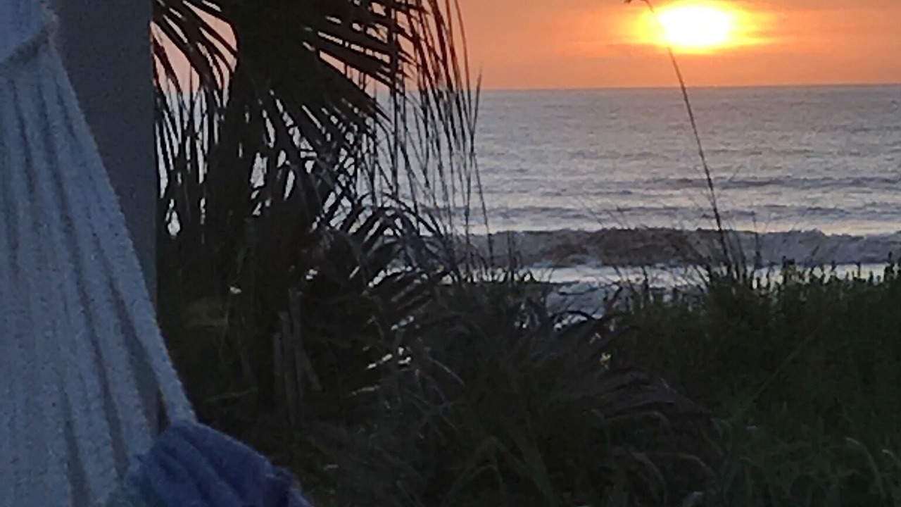Photo of Others in Ormond-by-the-Sea