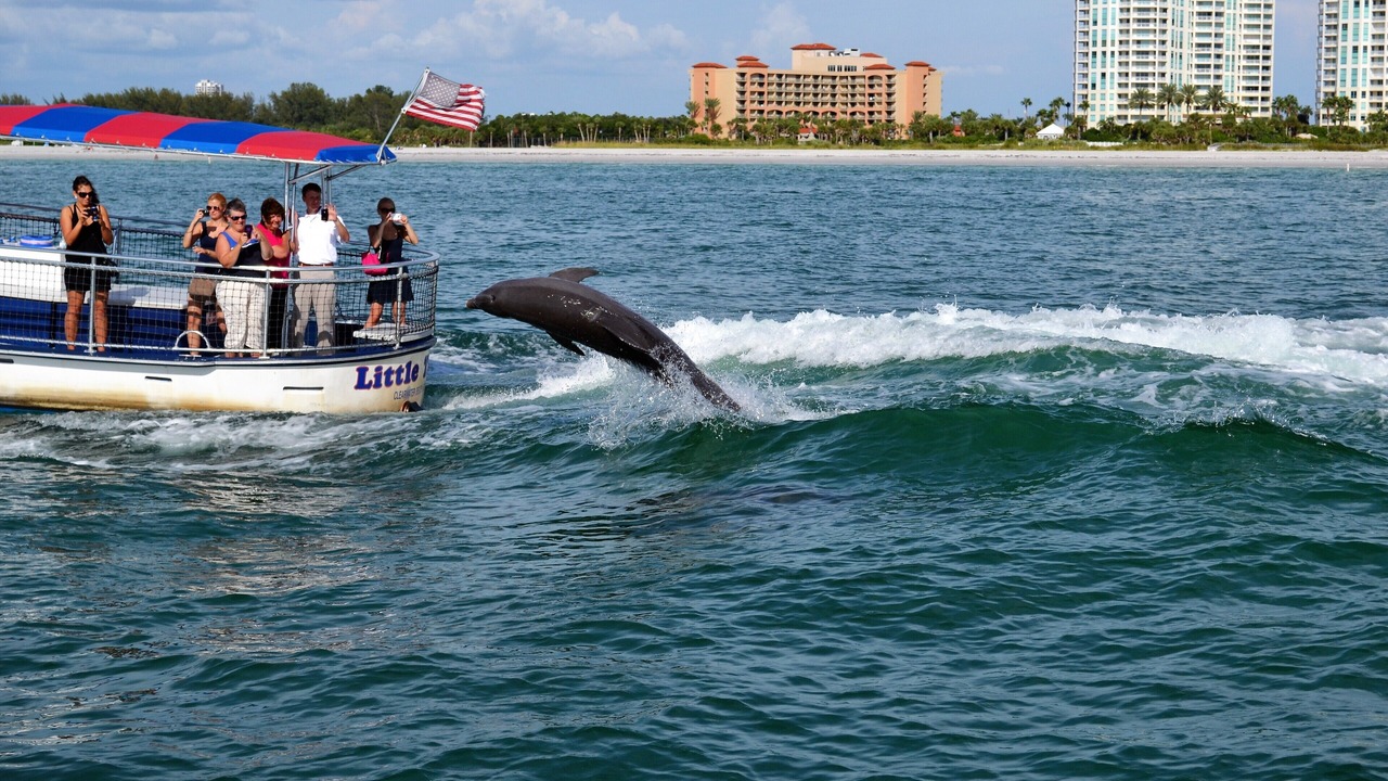 Photo of Others in Sand Key