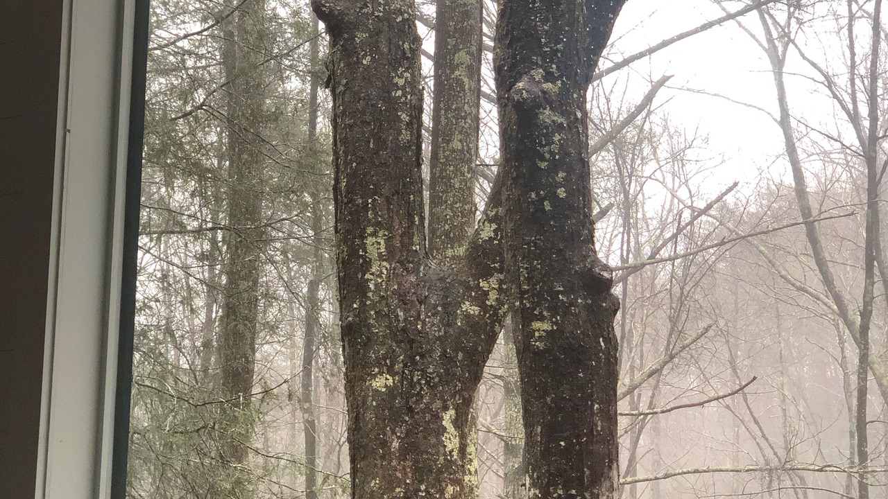 Photo of Others in Blue Ridge