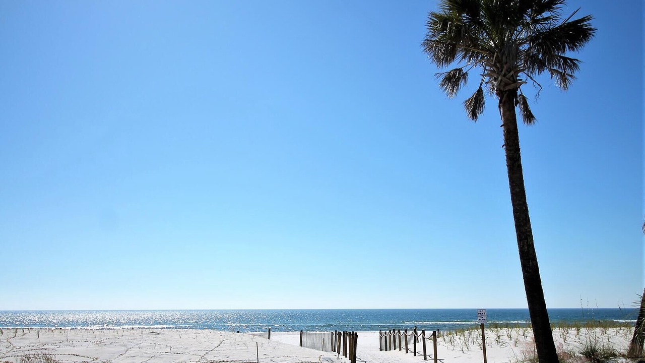 Photo of Others in Mexico Beach