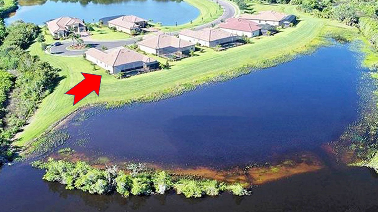 Photo of Outdoor in Braden River