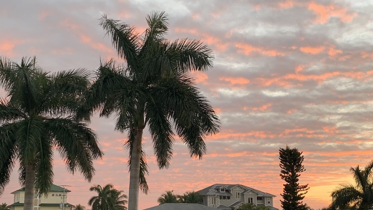 Photo of Outdoor in Laguna Shores