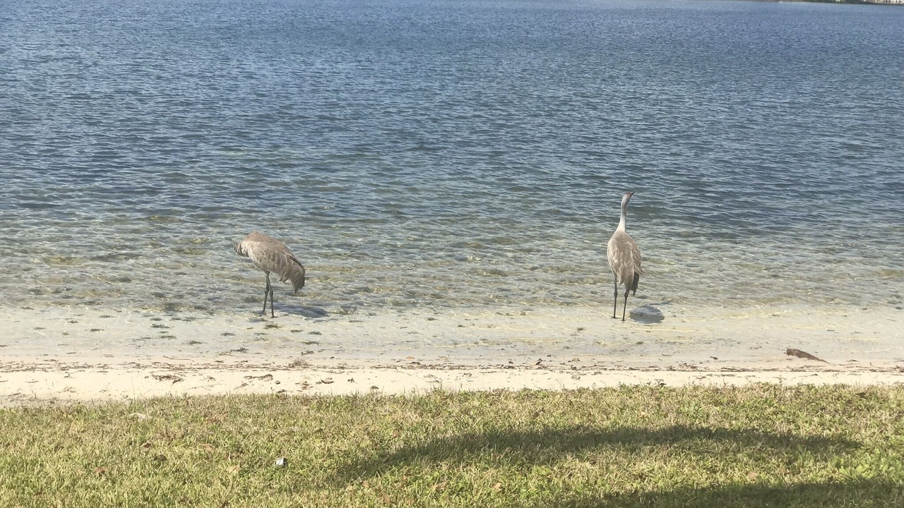 Photo of Others in Sanford