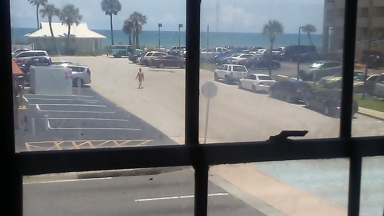 Photo of Others in East Daytona