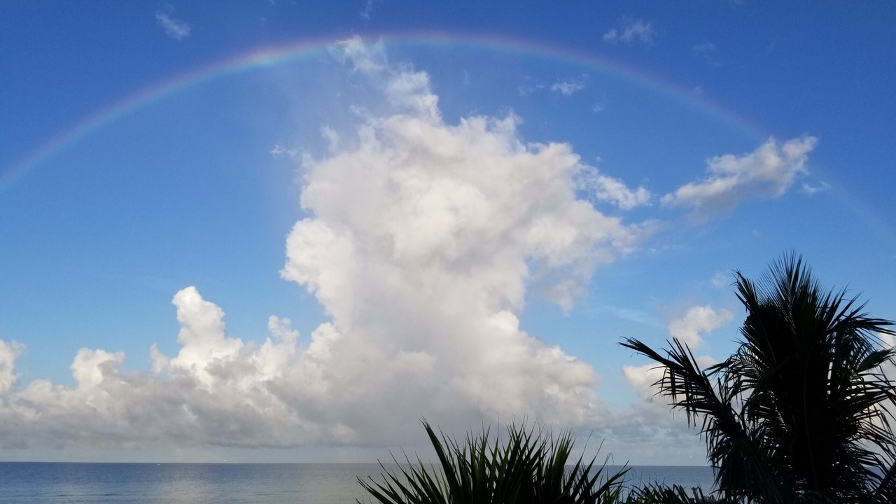 Photo of Others in Redington Shores