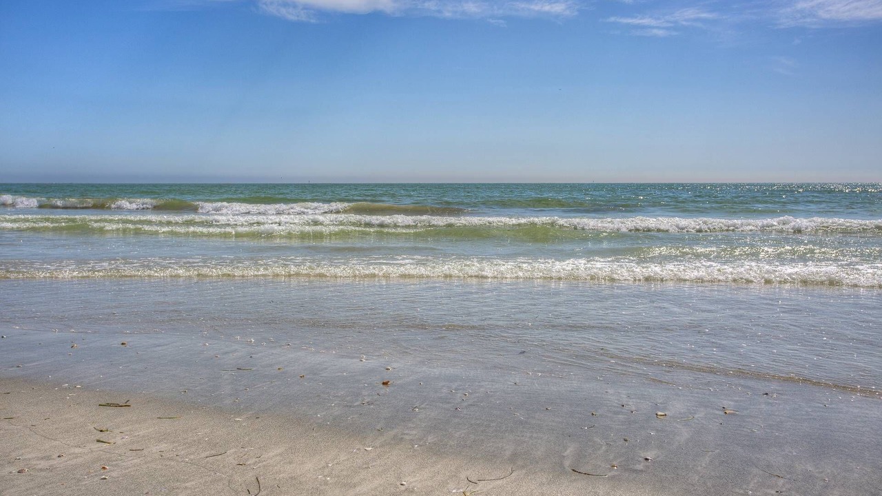 Photo of Others in Madeira Beach