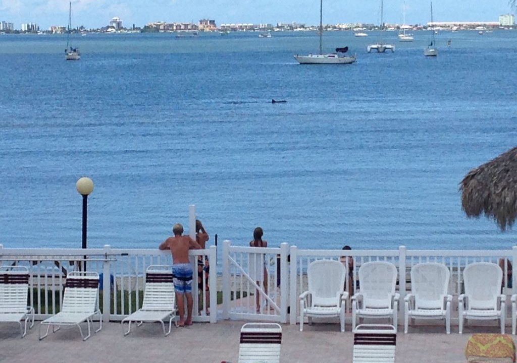 Photo of Outdoor in Bayview
