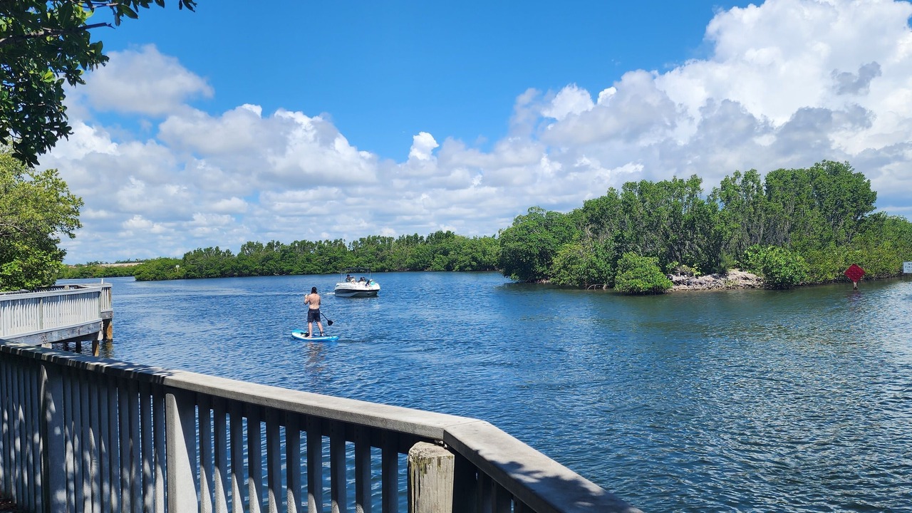 Photo of Others in Royal Poinciana