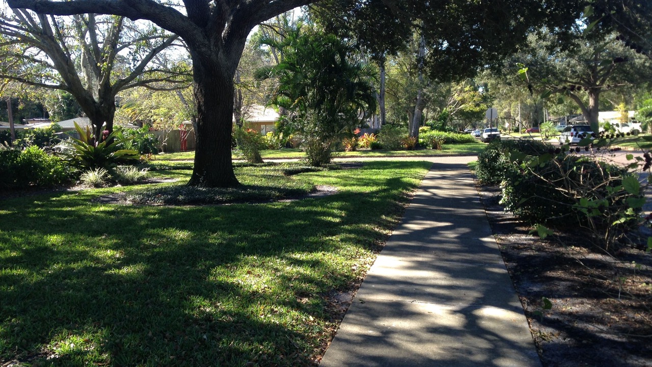 Photo of Outdoor in St. Petersburg - Clearwater