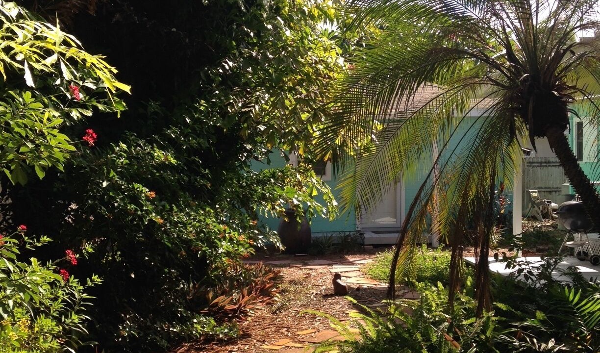 Photo of Outdoor in St. Petersburg - Clearwater