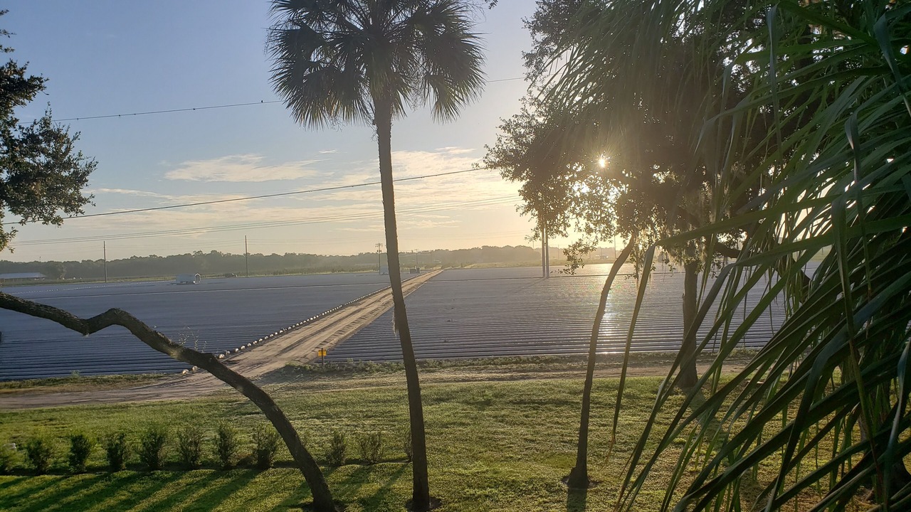 Photo of Outdoor in Durant