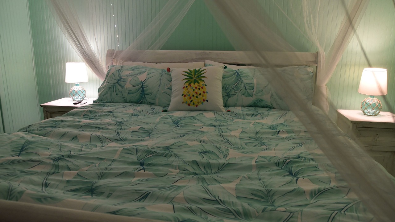 Photo of Bedroom in Fort Myers