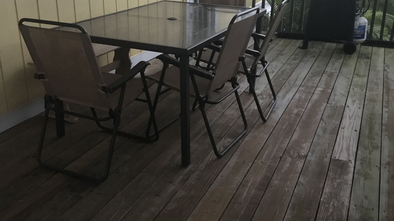 Photo of Outdoor in Everglades City