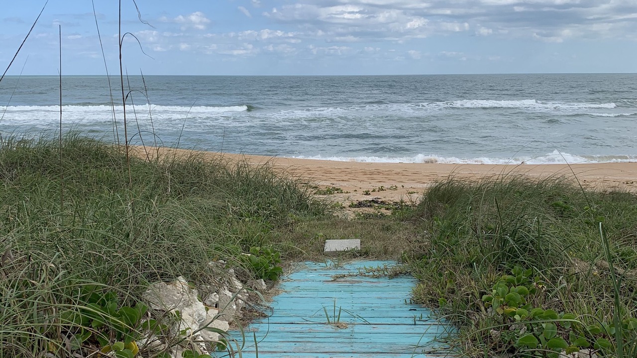 Photo of Others in Volusia County