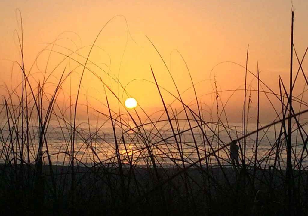 Photo of Others in Holmes Beach
