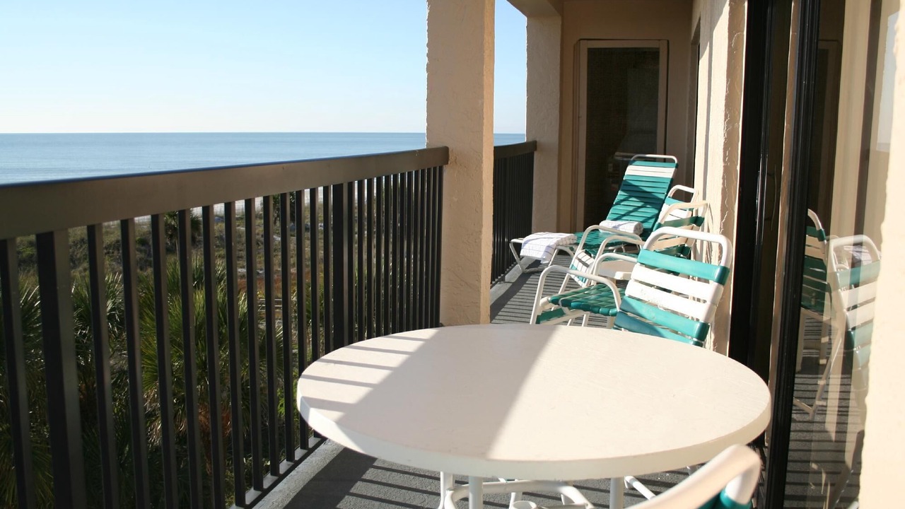 Photo of Outdoor in St. Petersburg - Clearwater