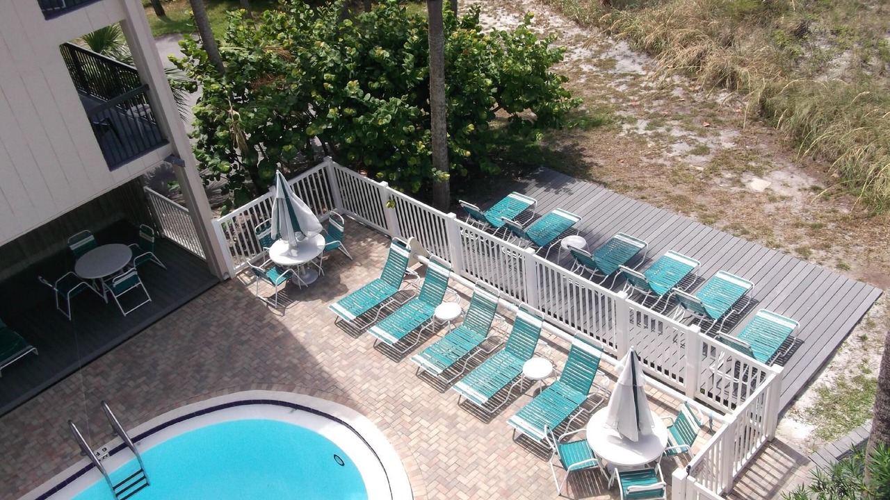 Photo of Outdoor in St. Petersburg - Clearwater