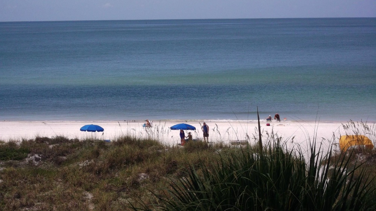 Photo of Others in St. Petersburg - Clearwater