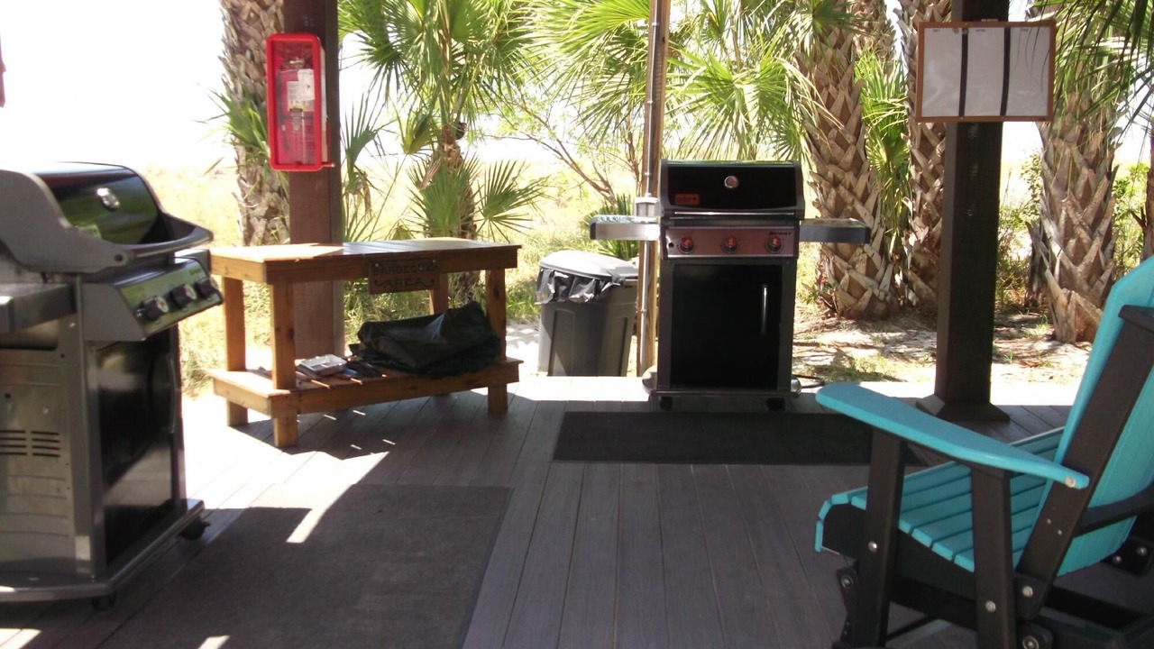 Photo of Outdoor in St. Petersburg - Clearwater