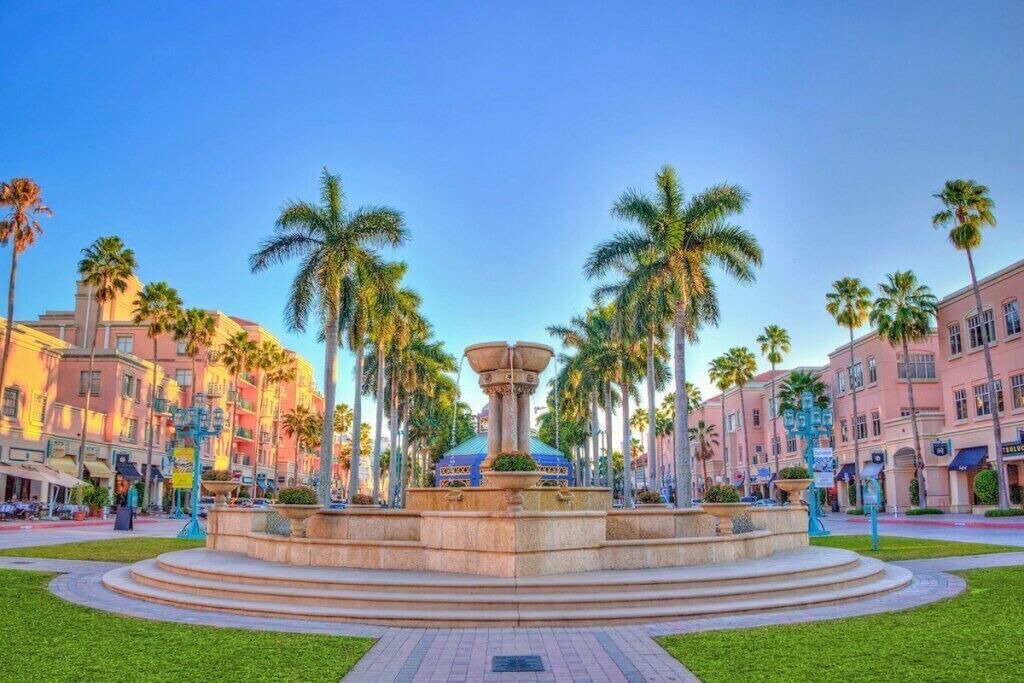 Photo of Others in East Boca Raton