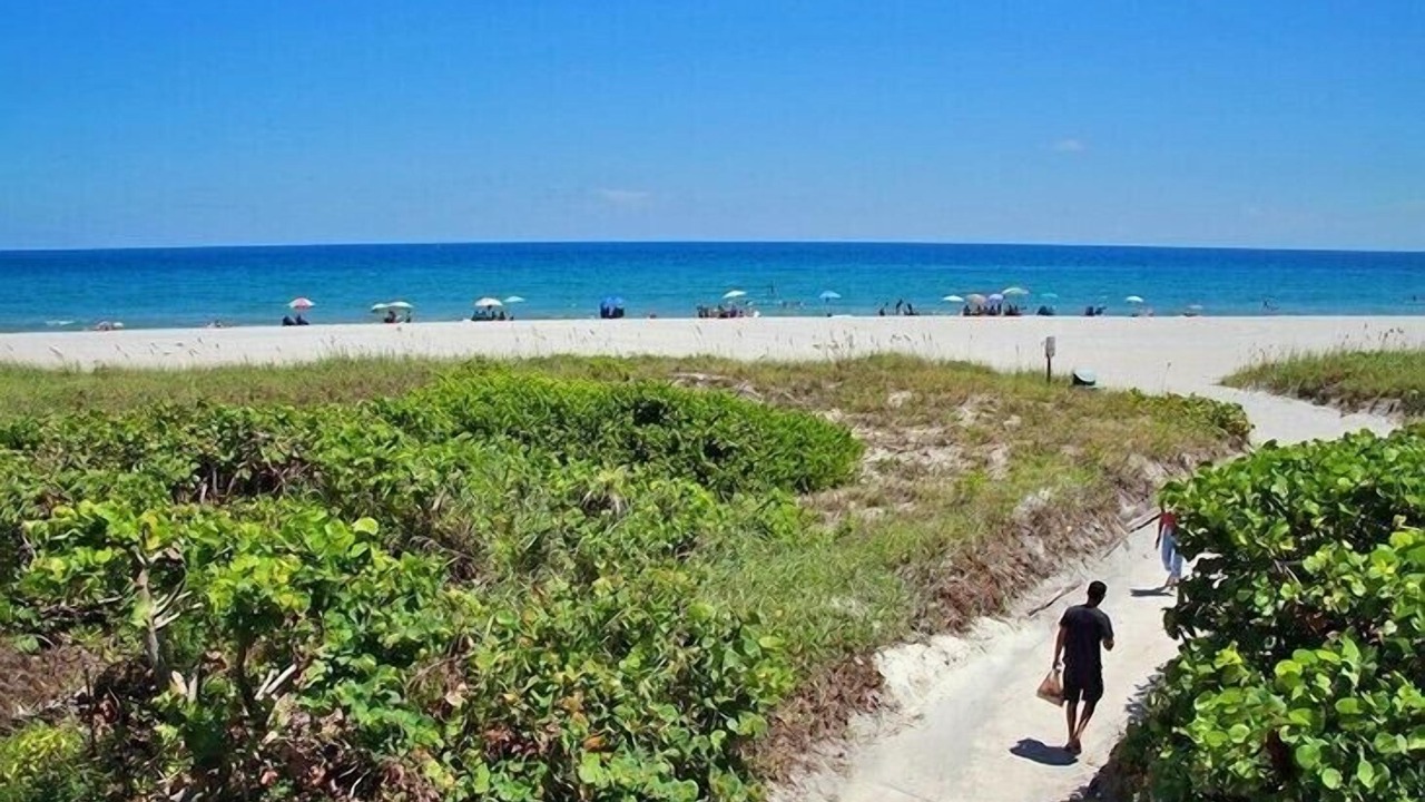Photo of Others in East Boca Raton