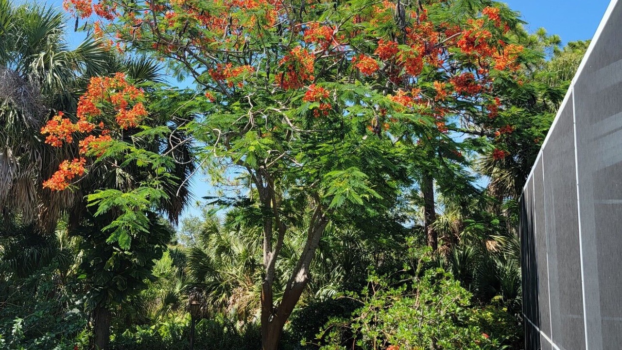 Photo of Outdoor in Palmer Ranch