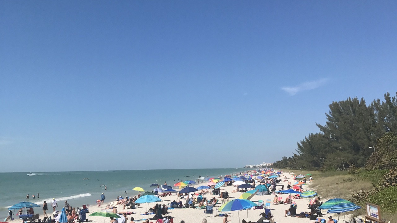 Photo of Others in Fort Myers Shores