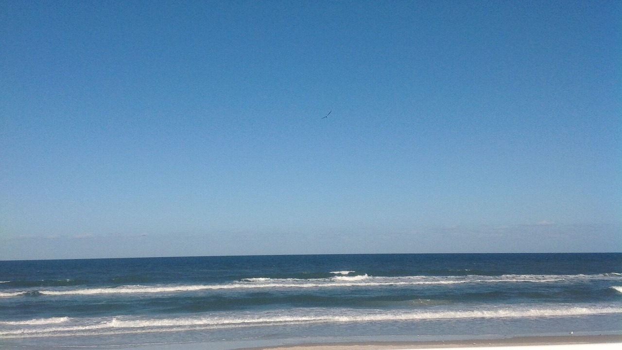 Photo of Others in Ormond Beach