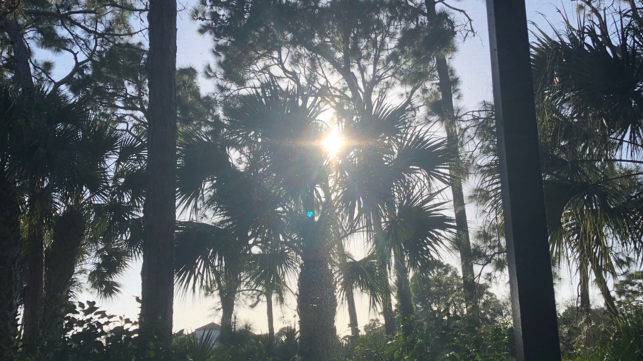 Photo of Others in Bonita Bay