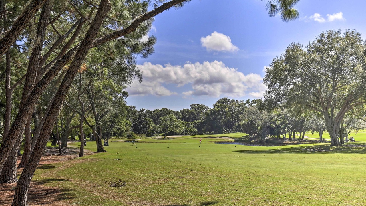 Photo of Others in Palm Harbor