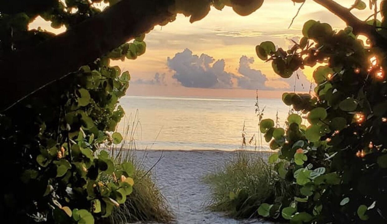 Photo of Others in East Naples
