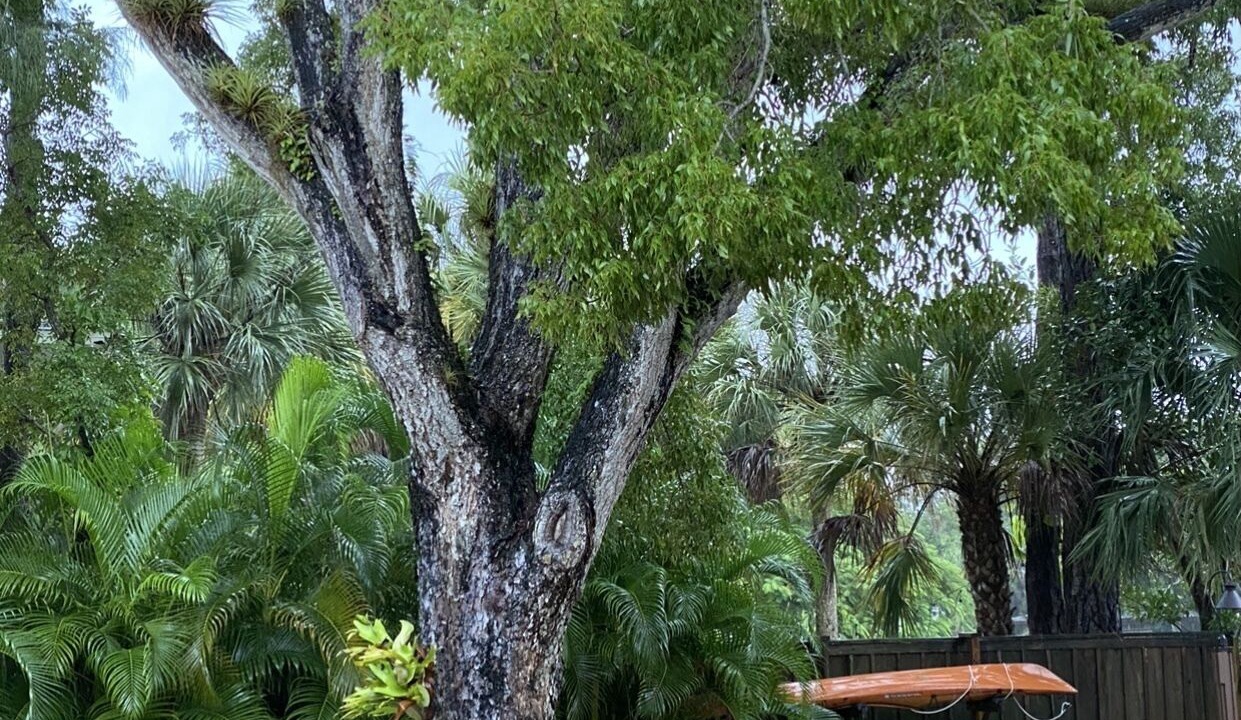 Photo of Outdoor in East Naples