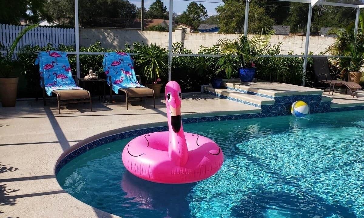 Photo of Outdoor in Citrus Park