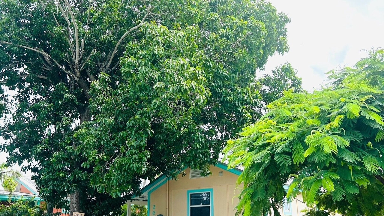 Photo of Outdoor in Goodland