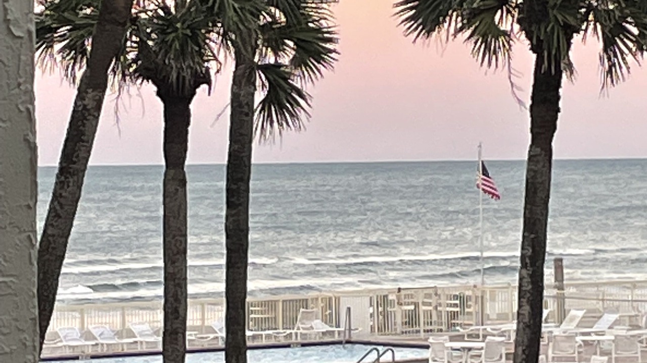 Photo of Others in New Smyrna Beach