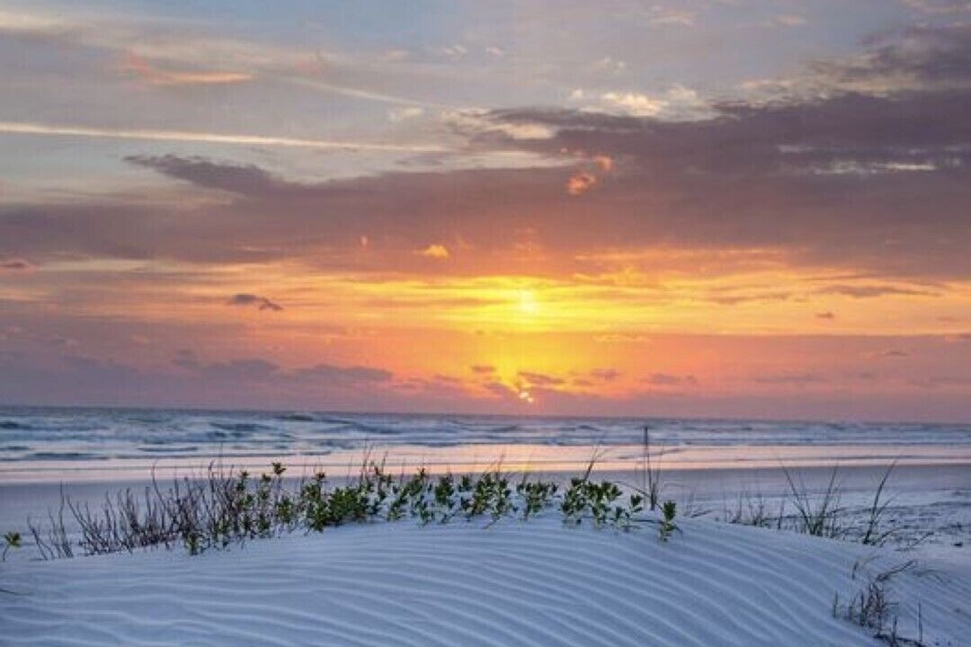 Photo of Others in New Smyrna Beach