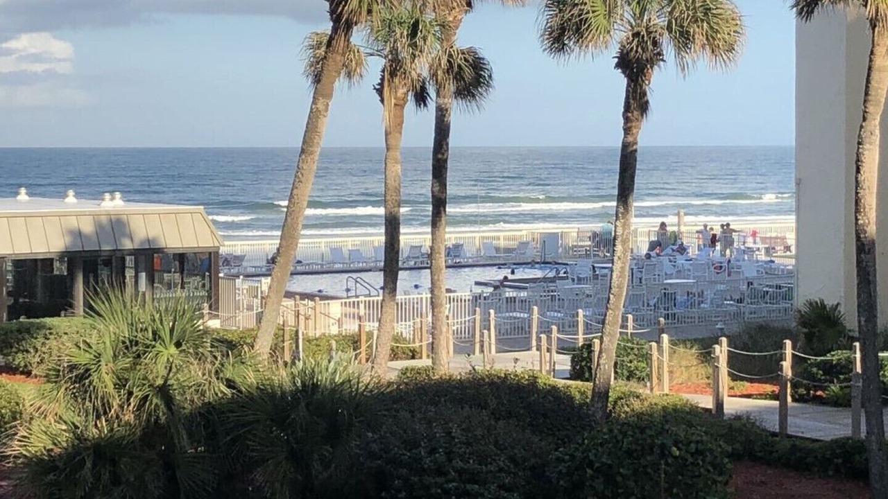 Photo of Others in New Smyrna Beach
