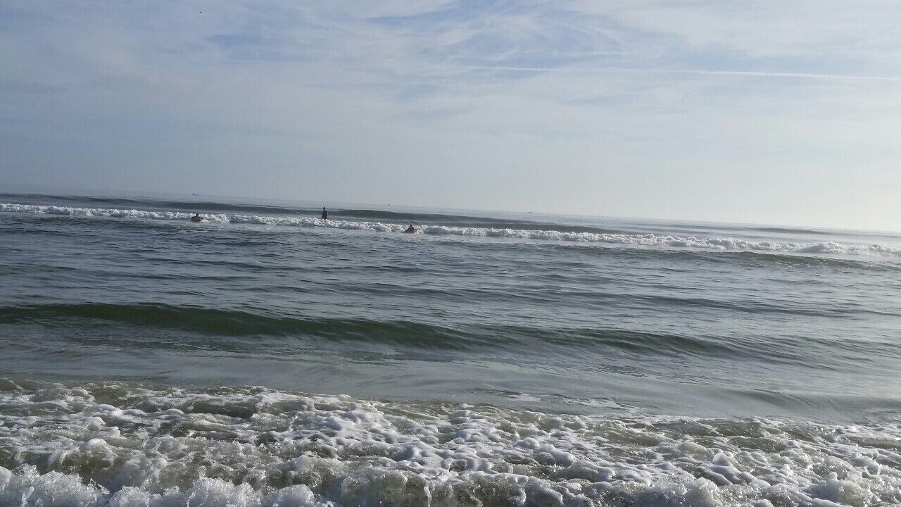 Photo of Others in New Smyrna Beach