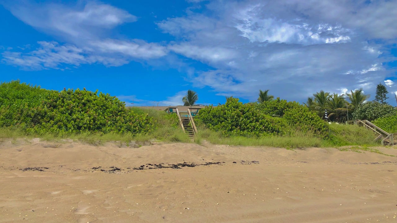 Photo of Others in New Melbourne Beach