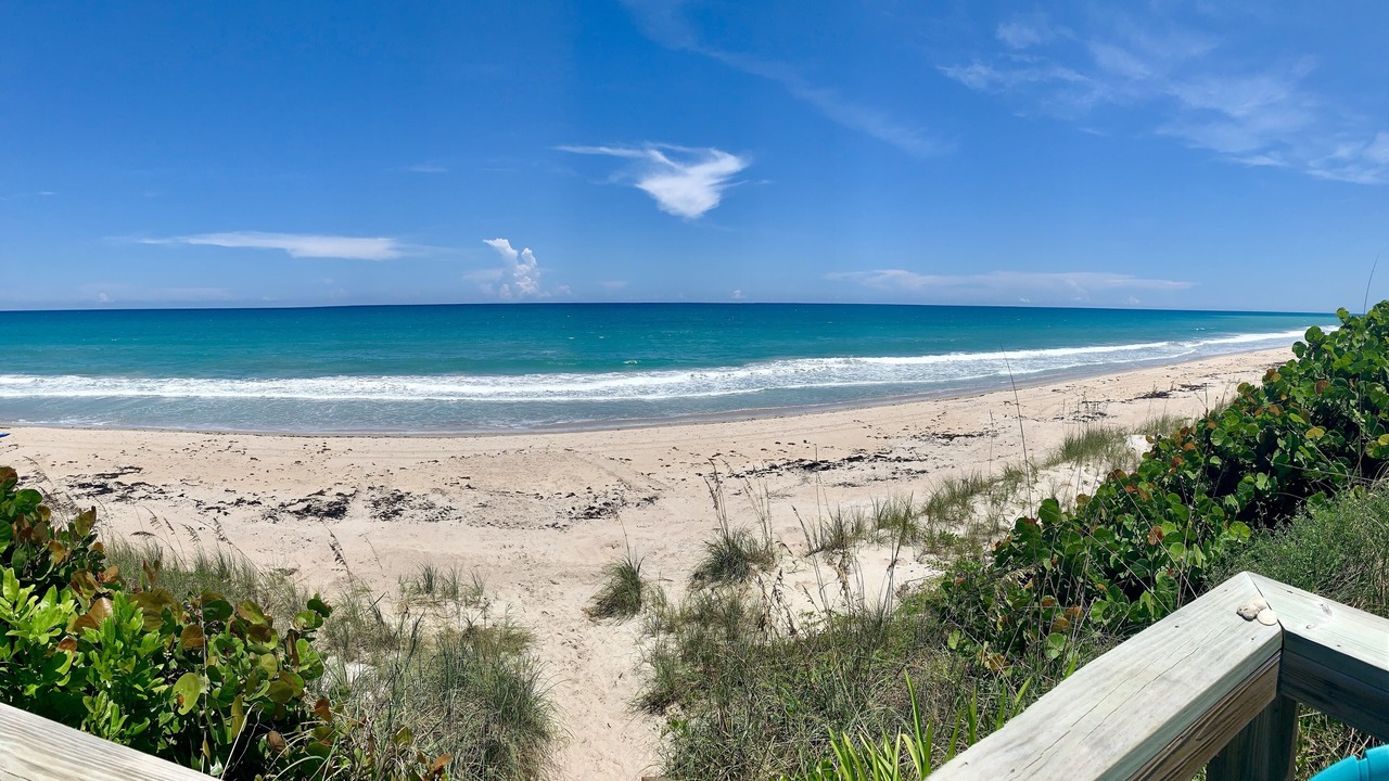Photo of Others in New Melbourne Beach