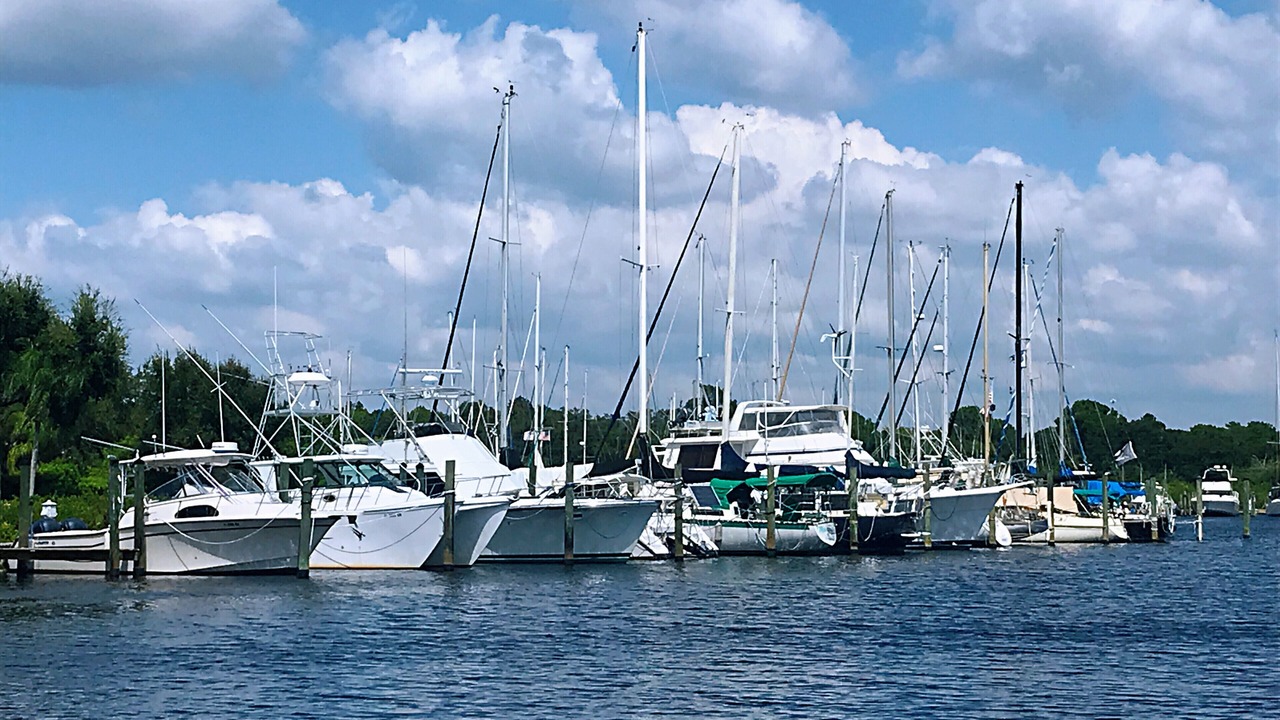 Photo of Others in Tarpon Springs