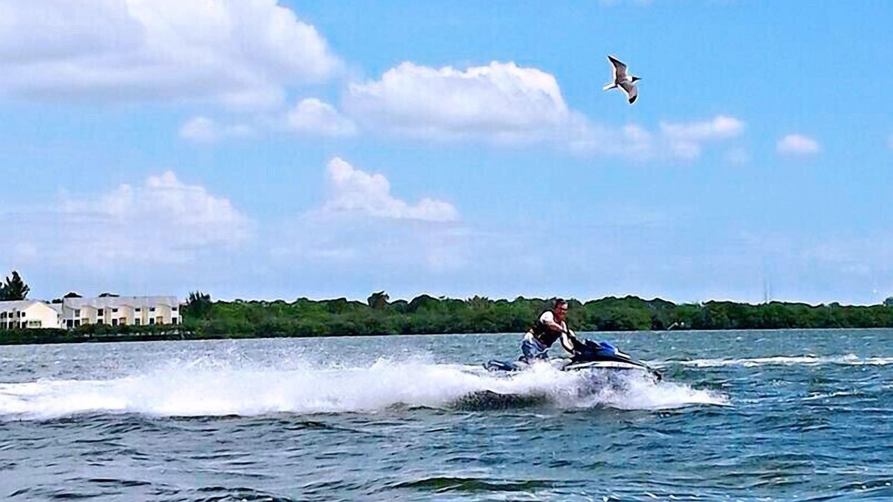 Photo of Others in Tarpon Springs