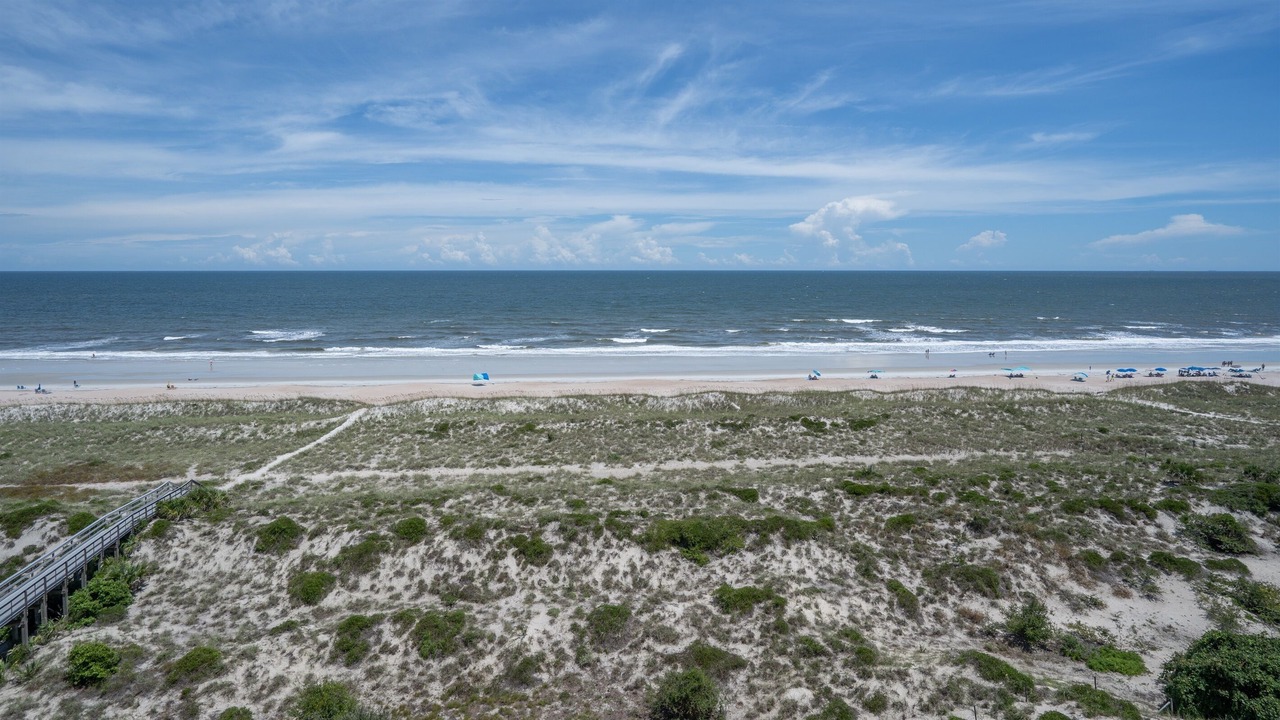 Photo of Others in Amelia City