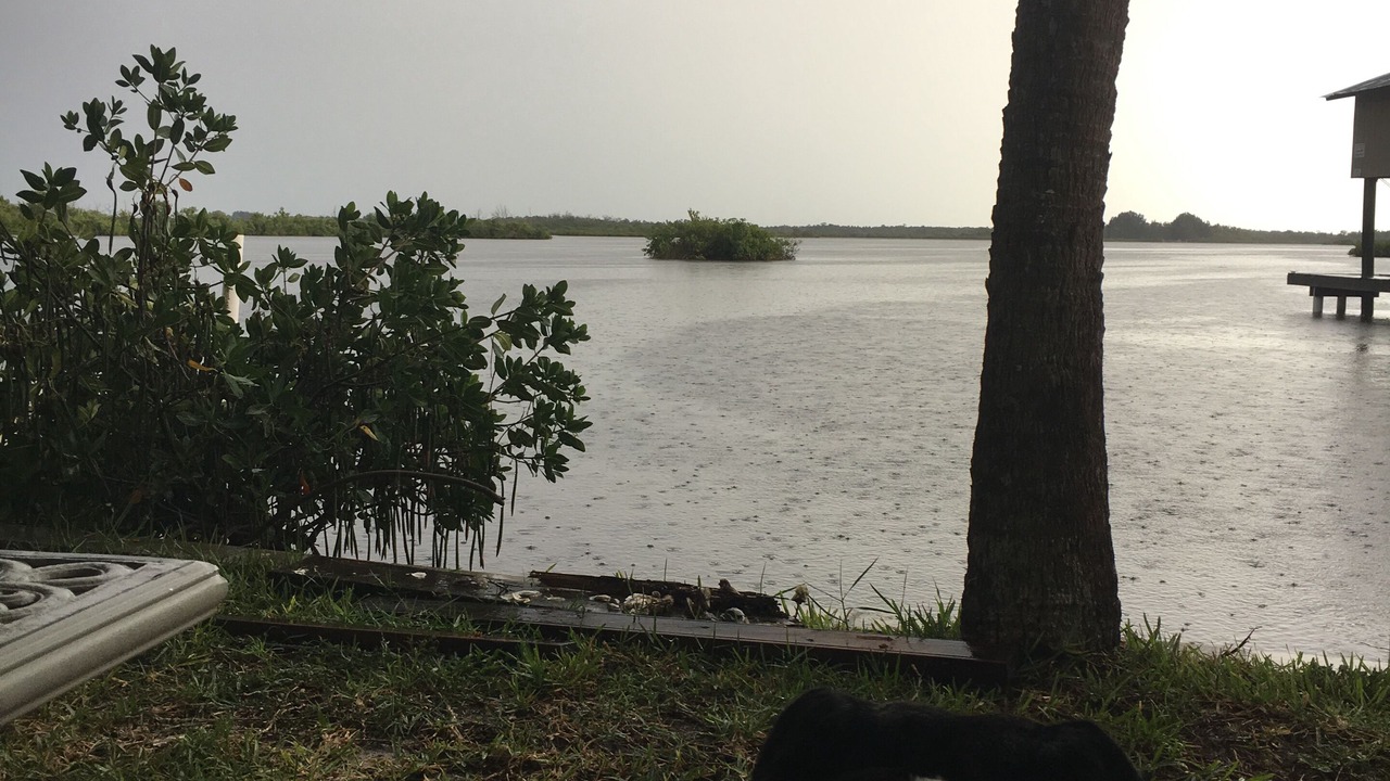 Photo of Others in Crystal River