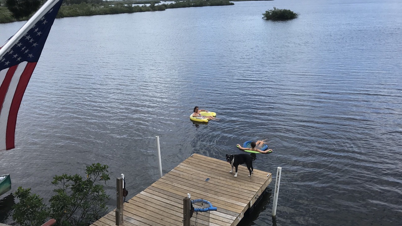 Photo of Others in Crystal River