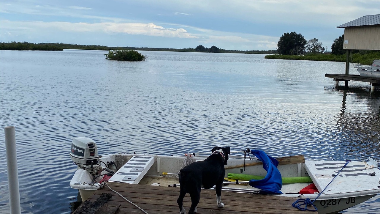 Photo of Outdoor in Crystal River