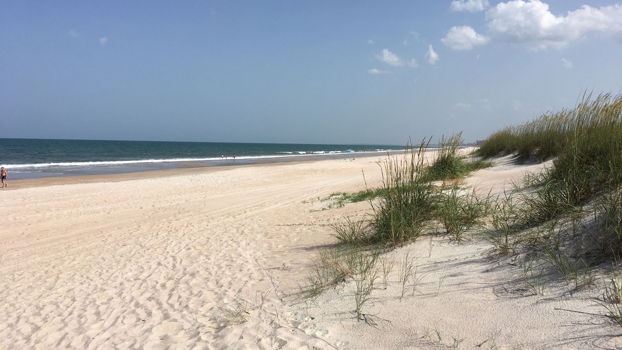 Photo of Others in Amelia City