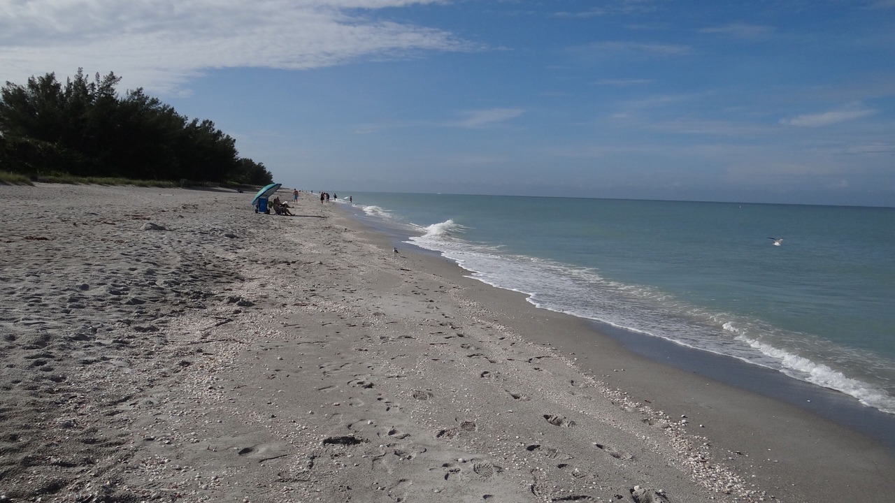 Photo of Others in Captiva