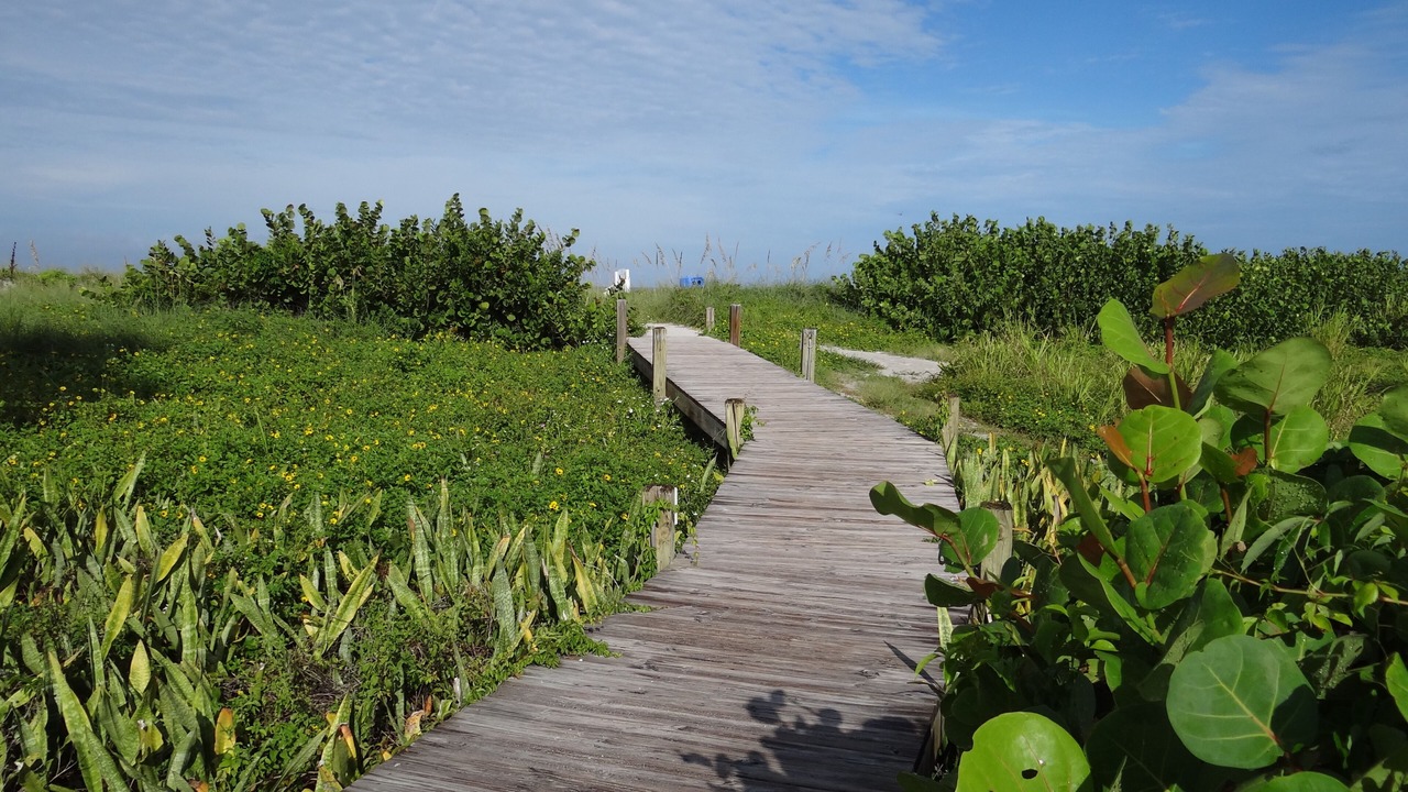 Photo of Outdoor in Captiva