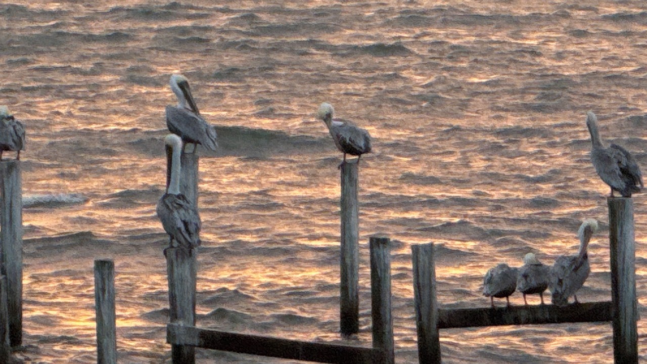Photo of Others in Fort Walton Beach - Destin